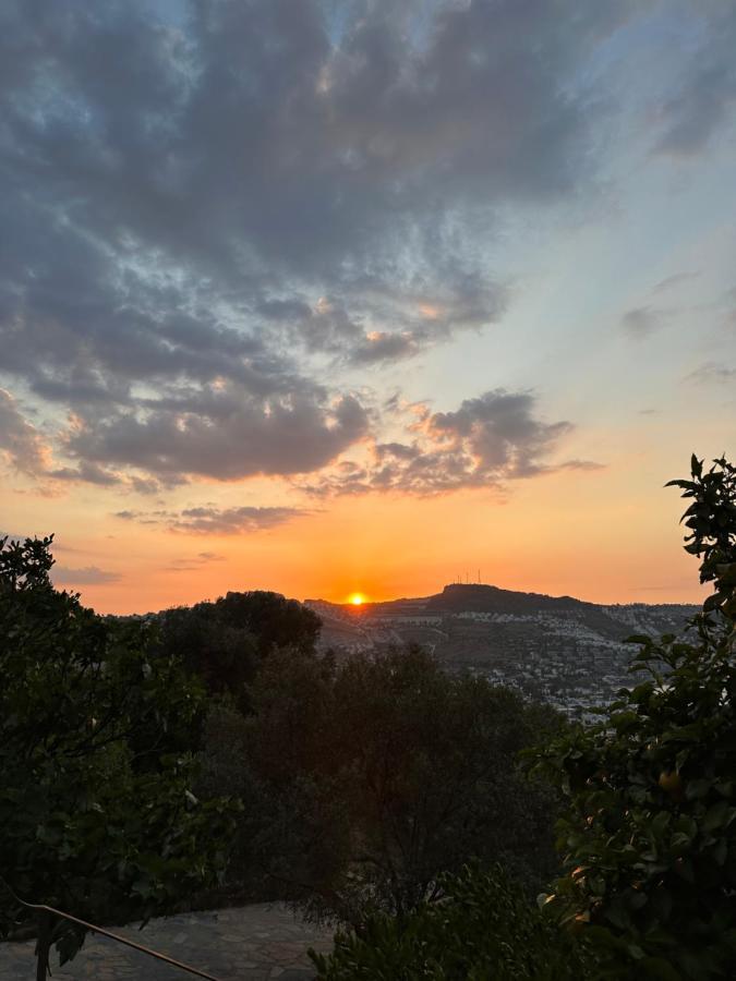 Mandra - Nature Living Bodrum Ngoại thất bức ảnh